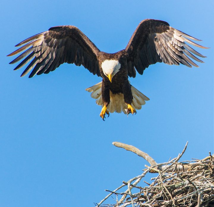 Strategy Design Munich