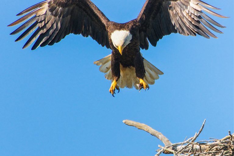 Strategy Design Munich